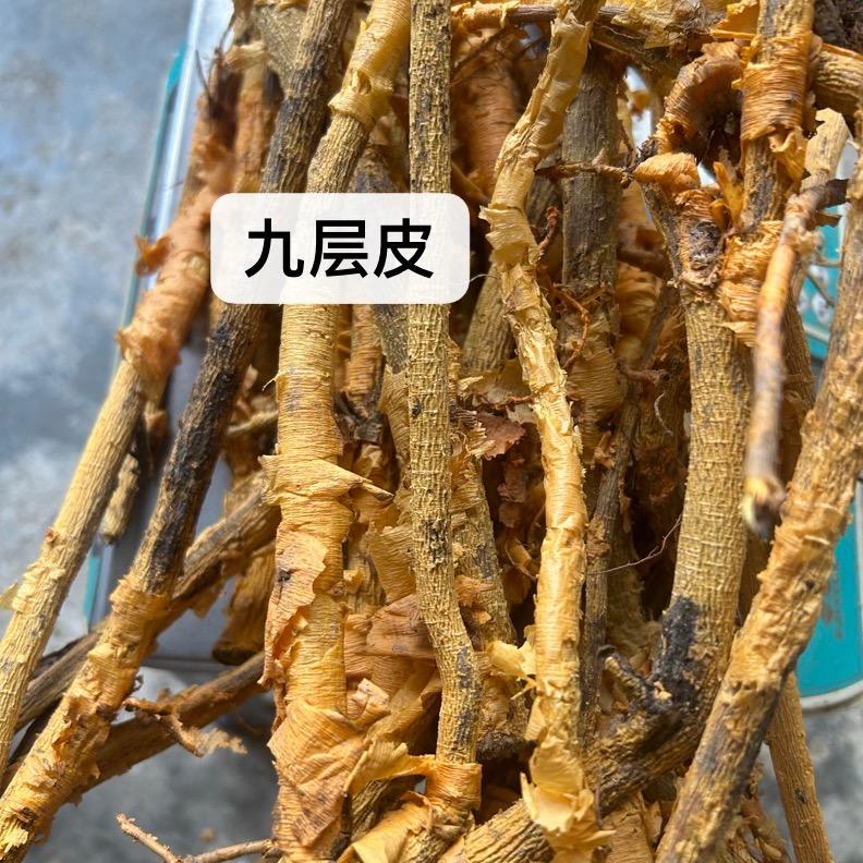 草药哥🌿🌿