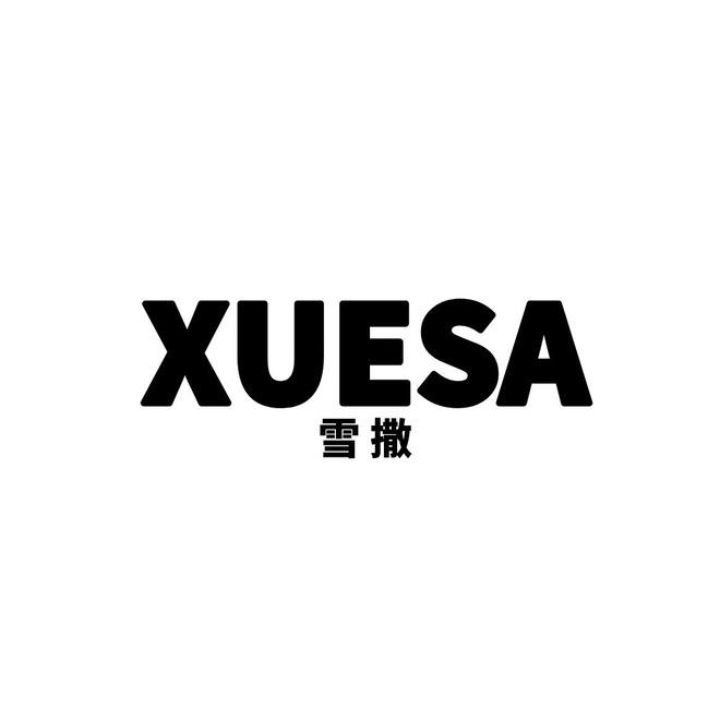 海宁Xuesa高定女装