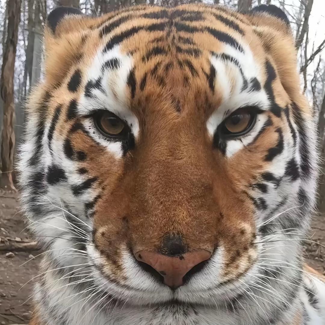 你握不住我的镭😮