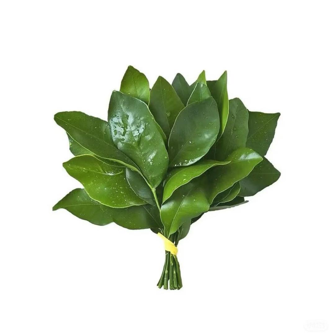 周泡泡