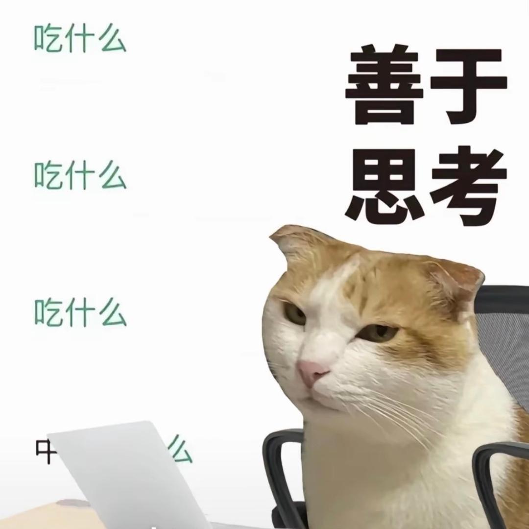 。。。。。