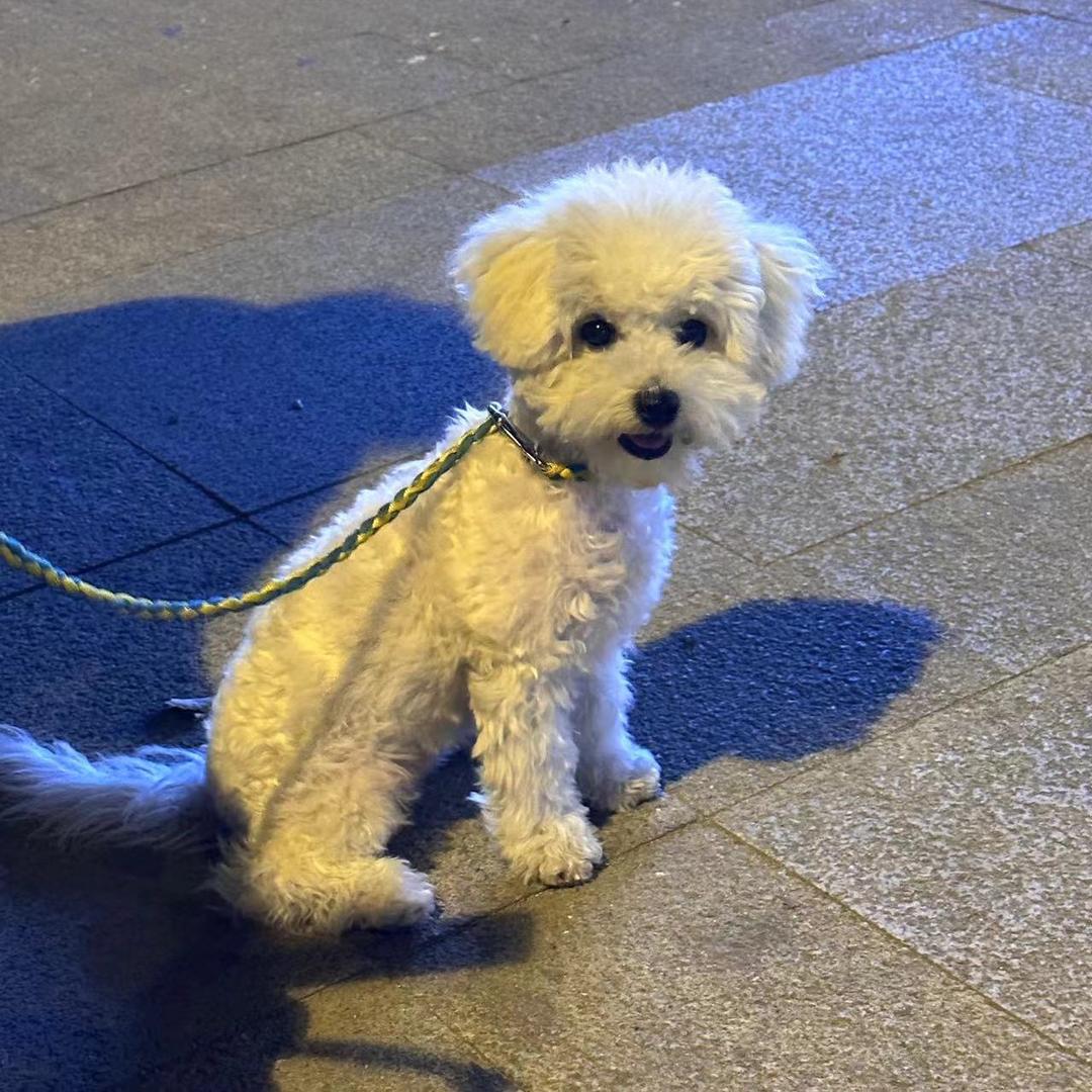 汪以杭妈妈