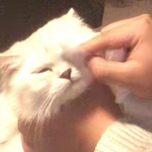 Dikx