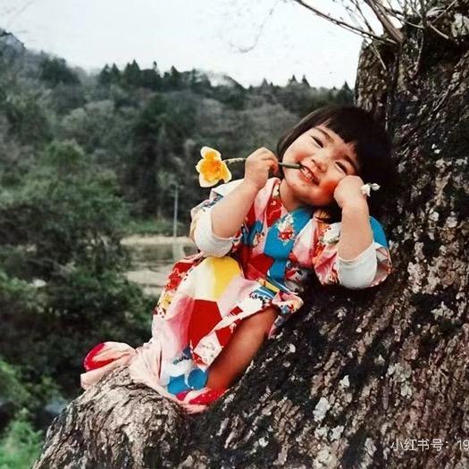 七桃叶子
