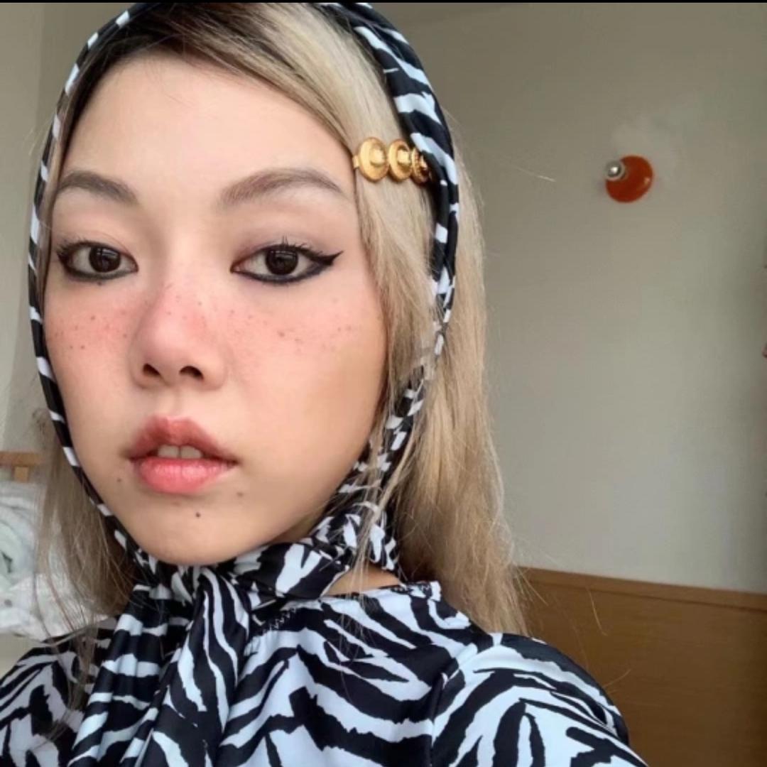 迪西迷你