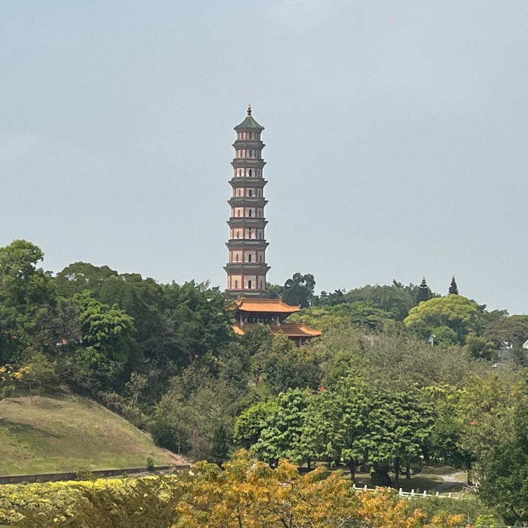 ~逆风 • YL - ZY •