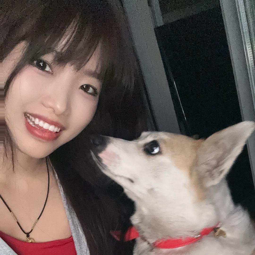 这只柯基叫仔仔🐕