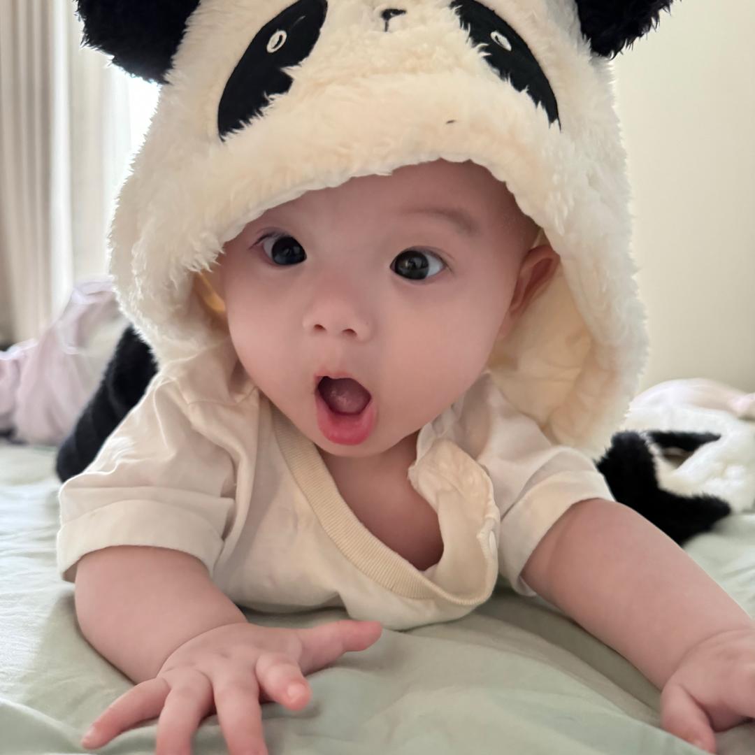 海胆妹妹
