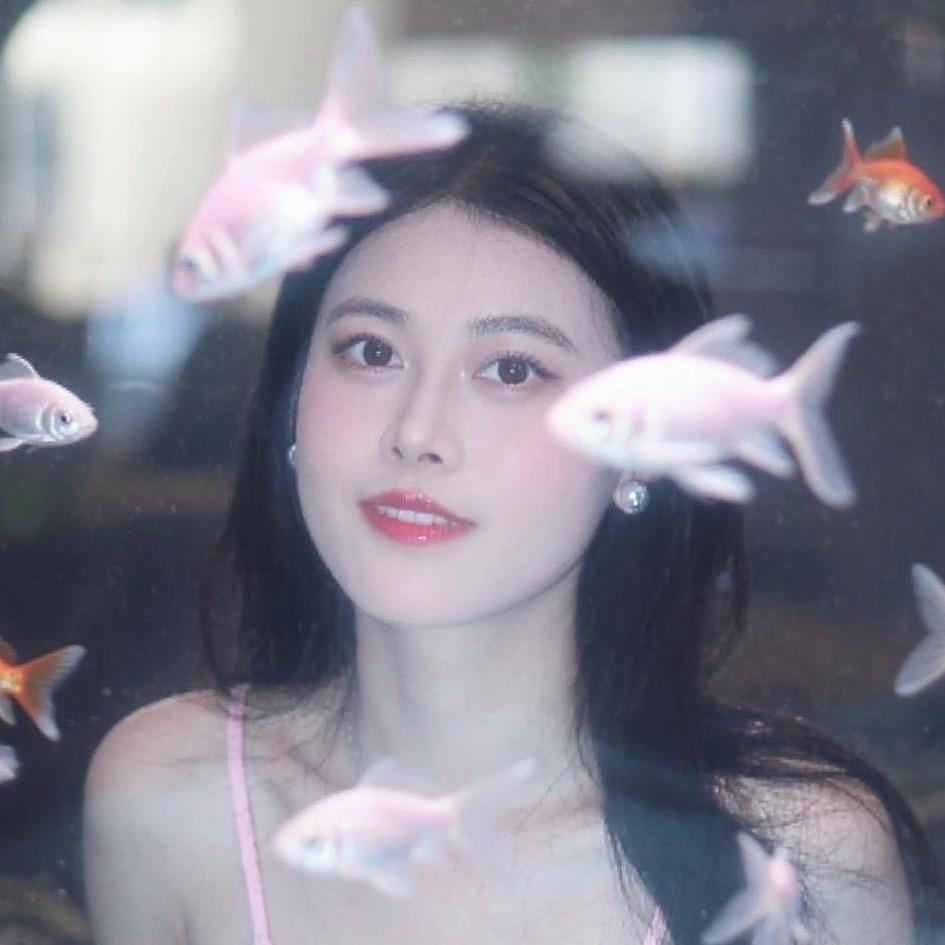 范美丽的日常