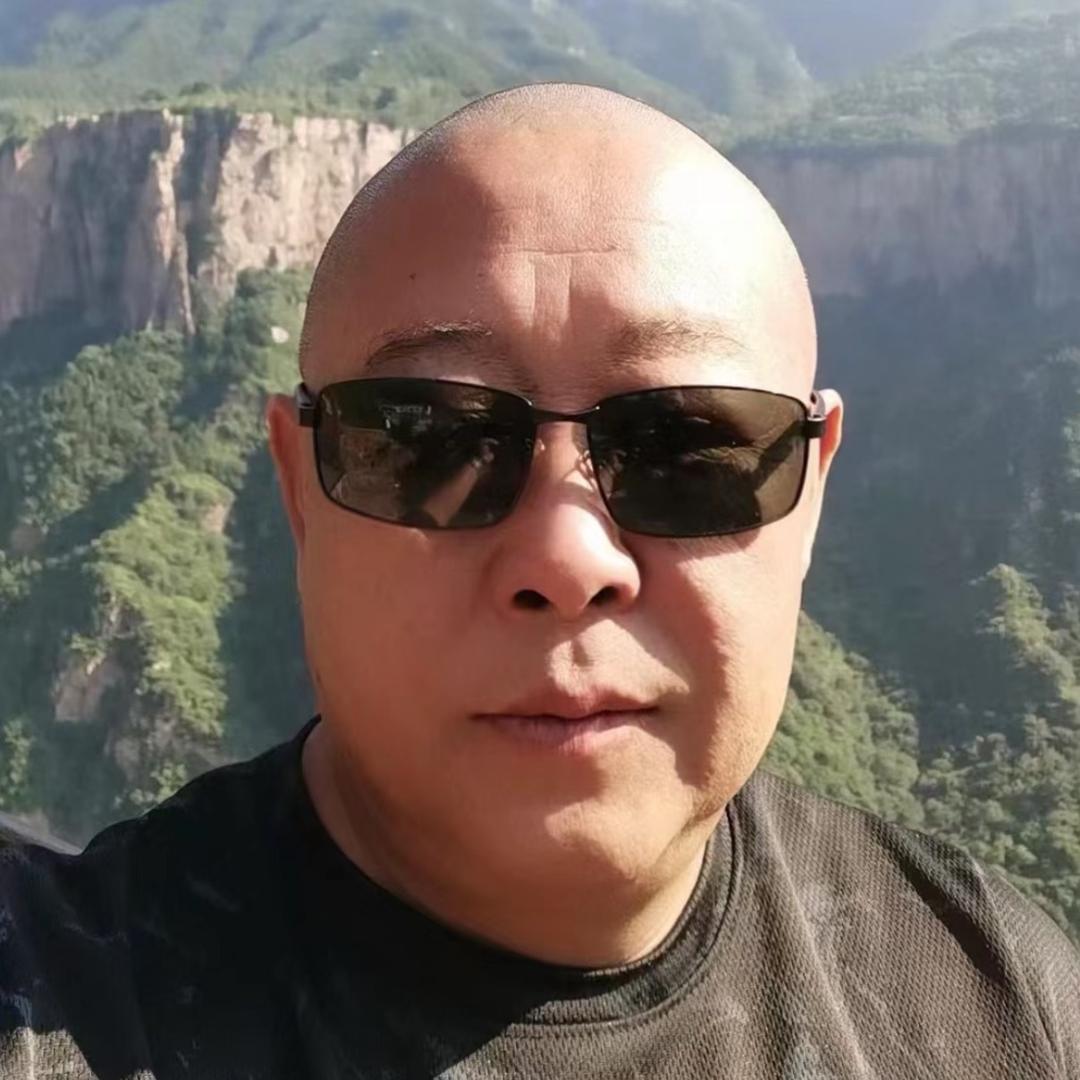 风中孤独的狼