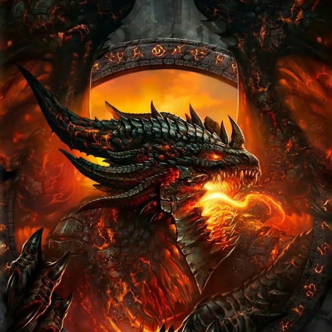 四哥爱打魔兽