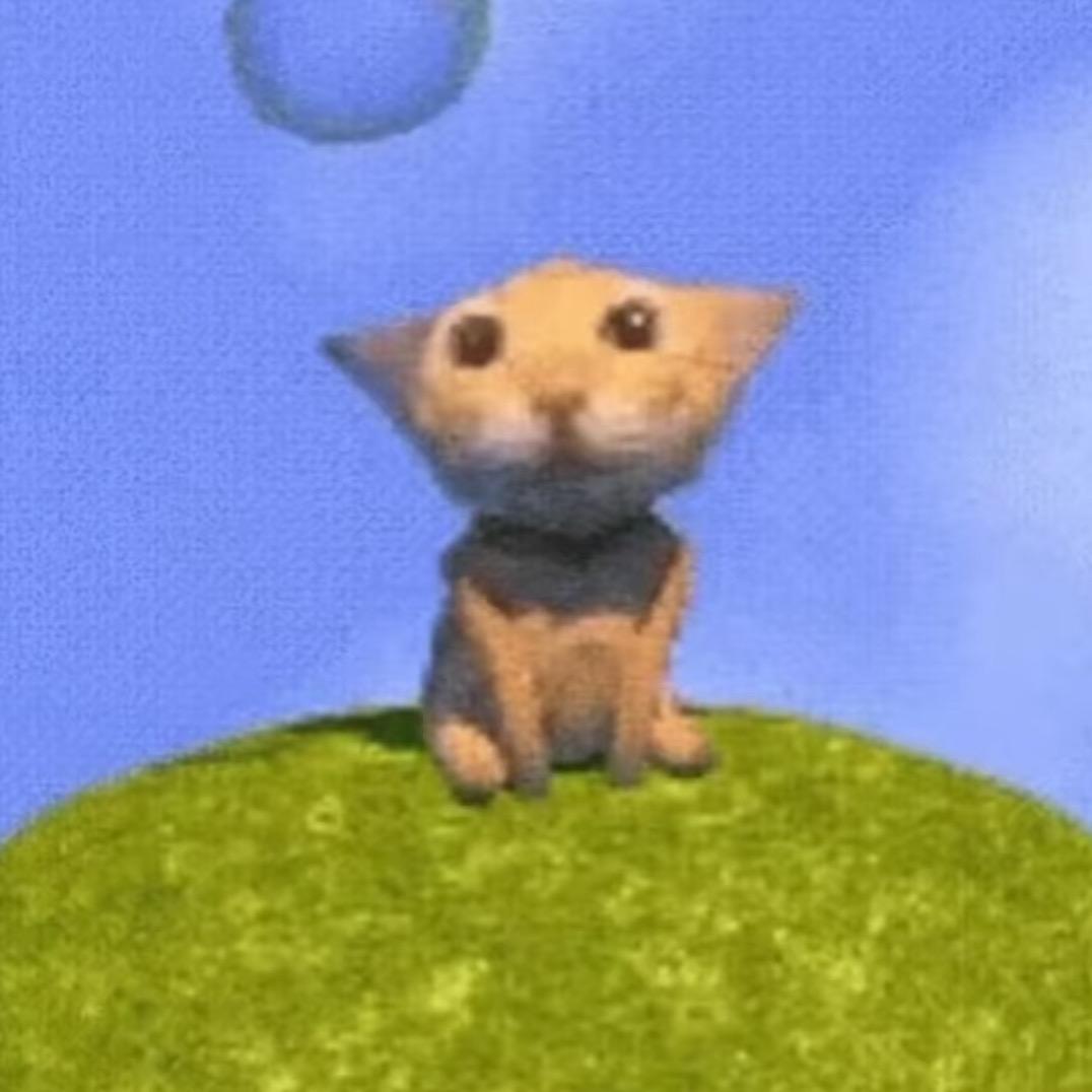 🐾