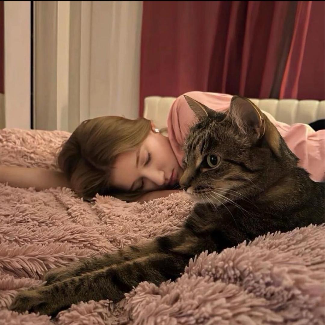 -第181秒🐾