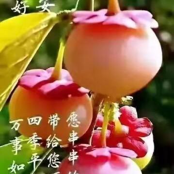 有李说不清。