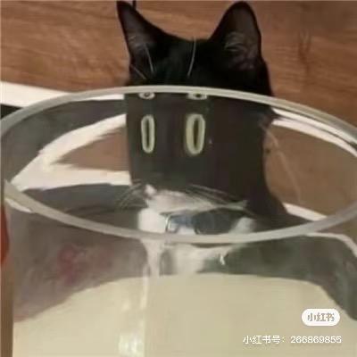 莱尔斯丹（想做颜值博主