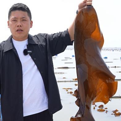 霞浦海带仙子