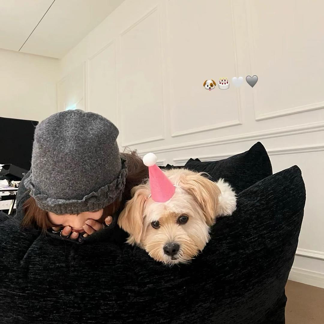 ᅠᅠᅠᅠᅠᅠᅠᅠᅠᅠᅠᅠ