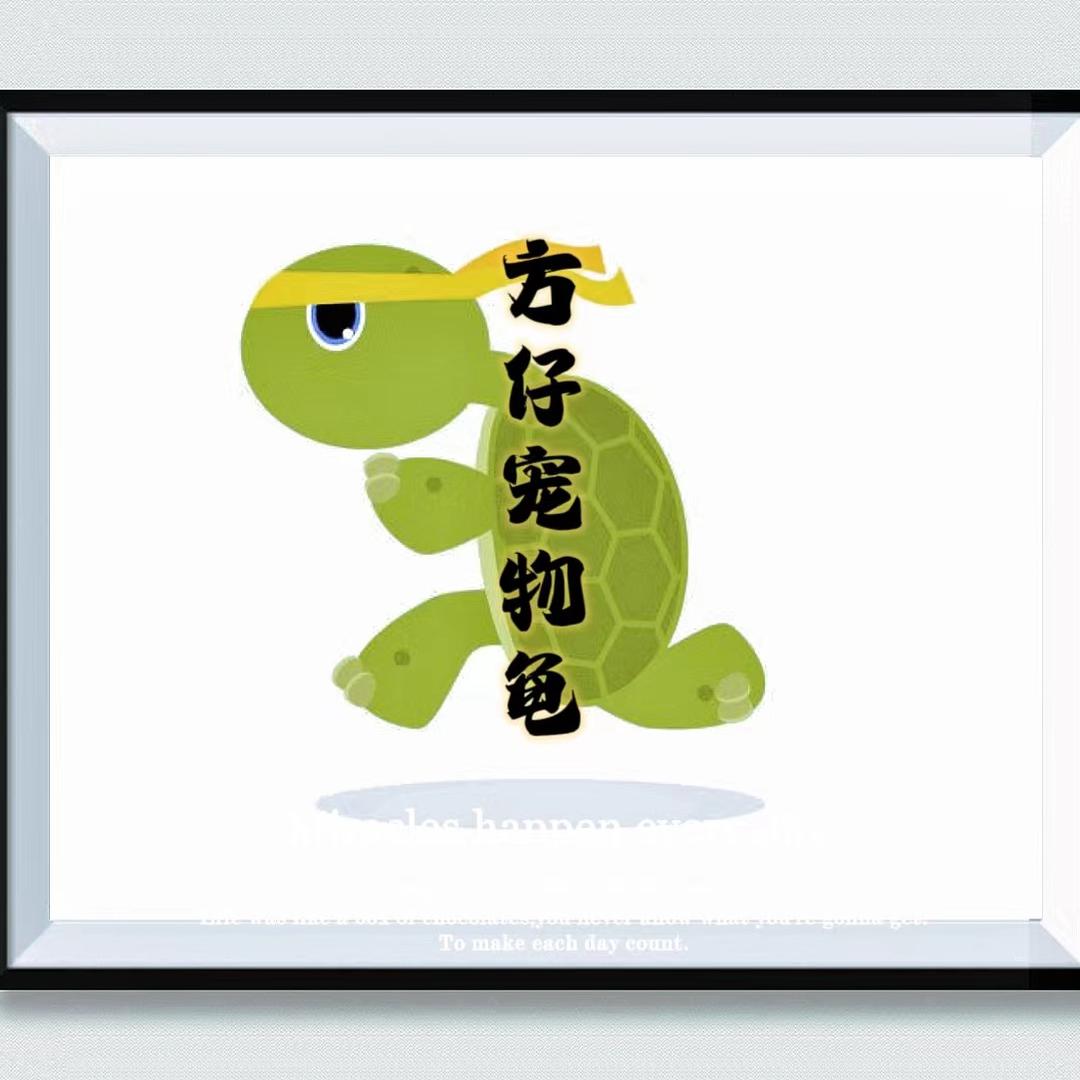 方仔宠物龟