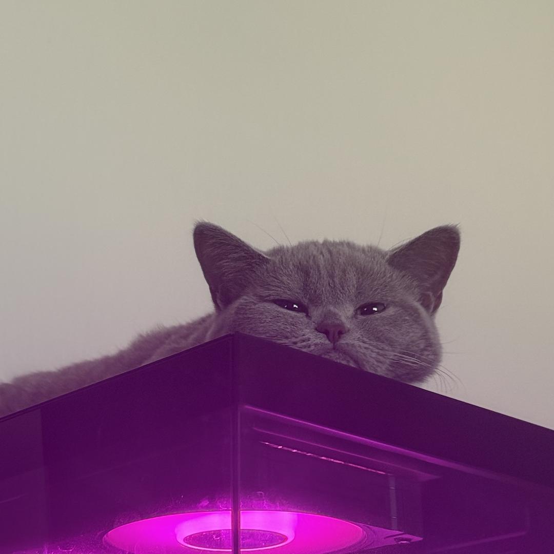 小叮当