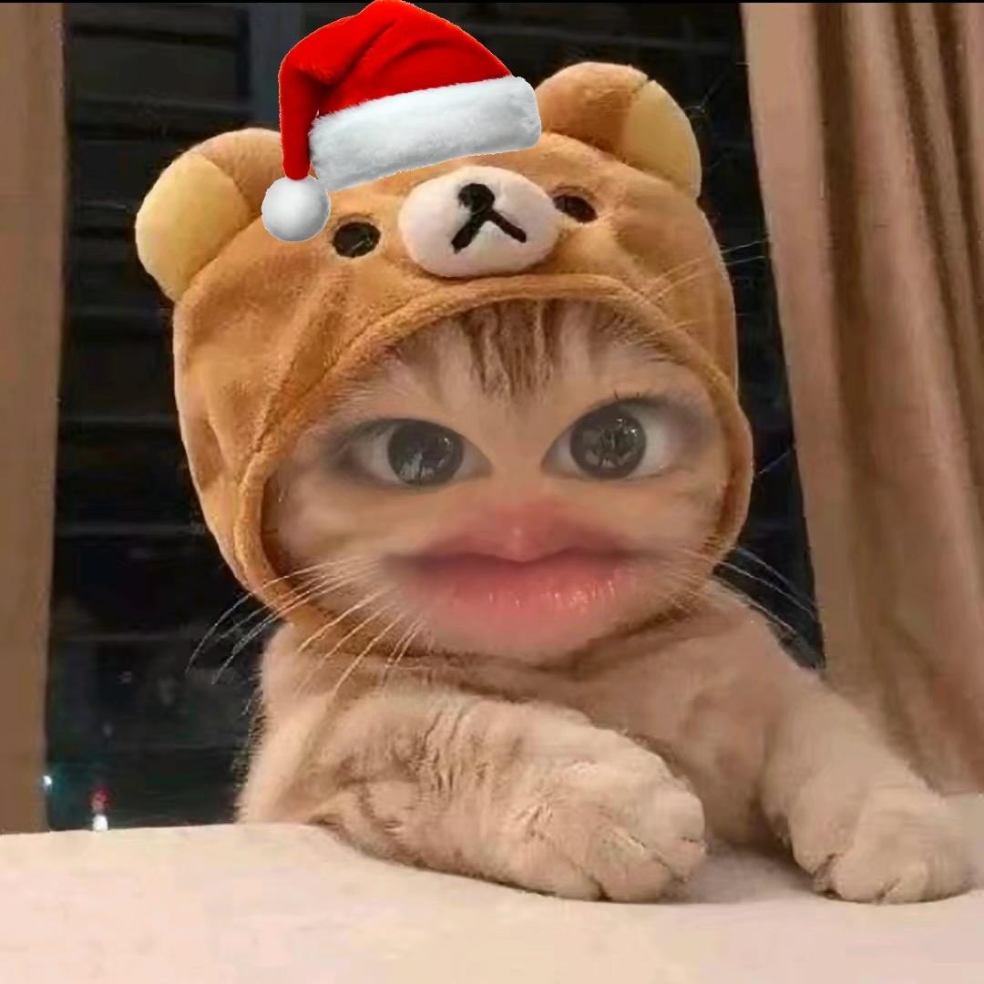 哦这样啊