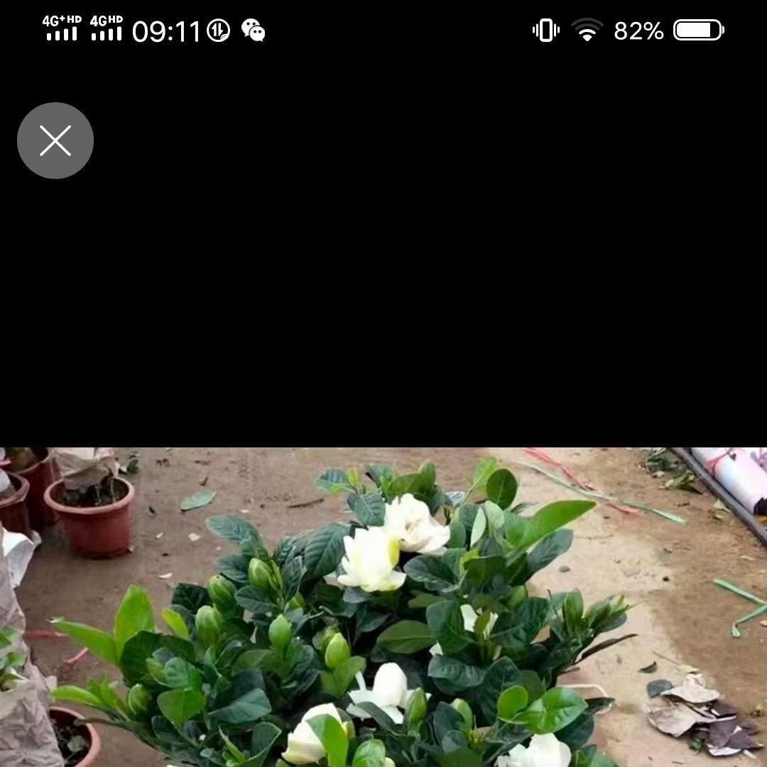 清璇花艺