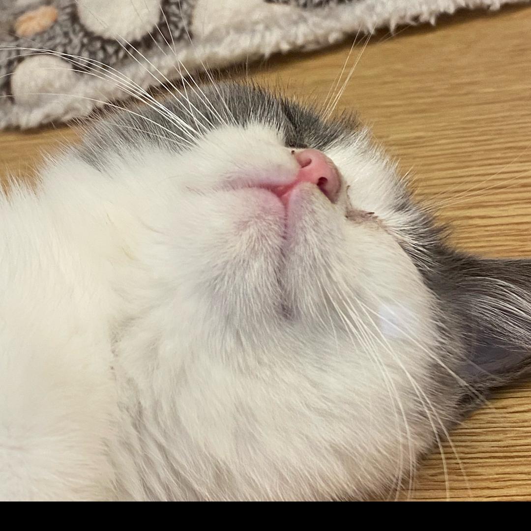 菠萝炒鸡蛋