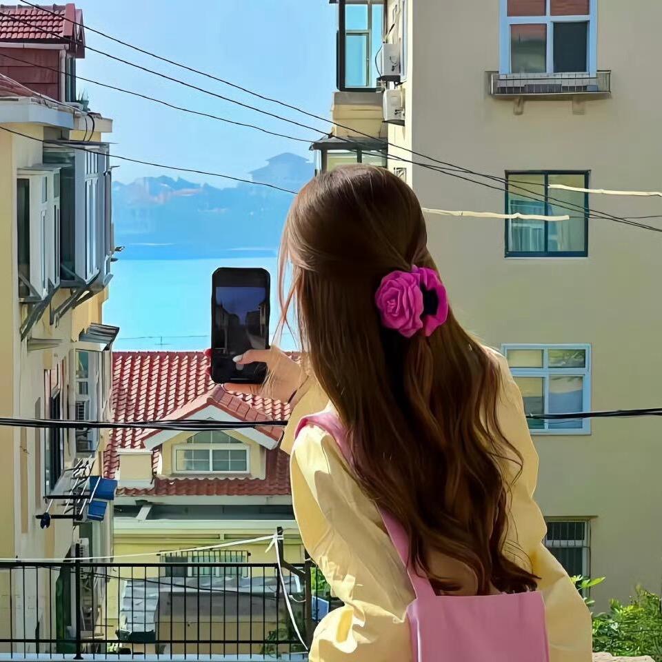泊心集