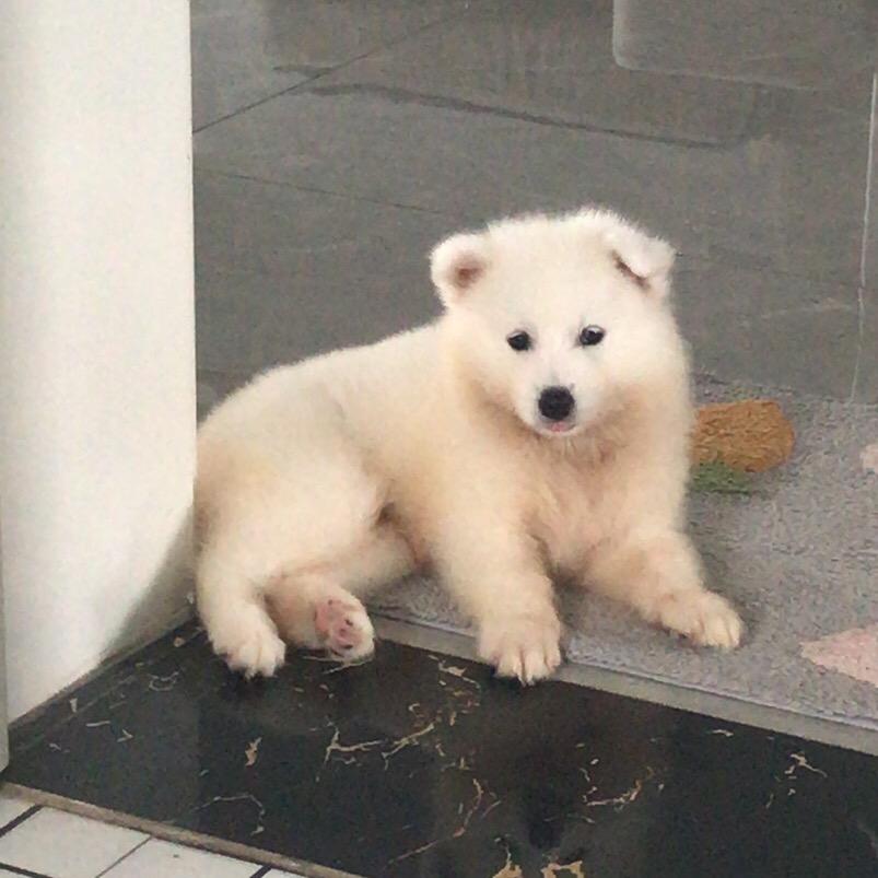 紫气东来