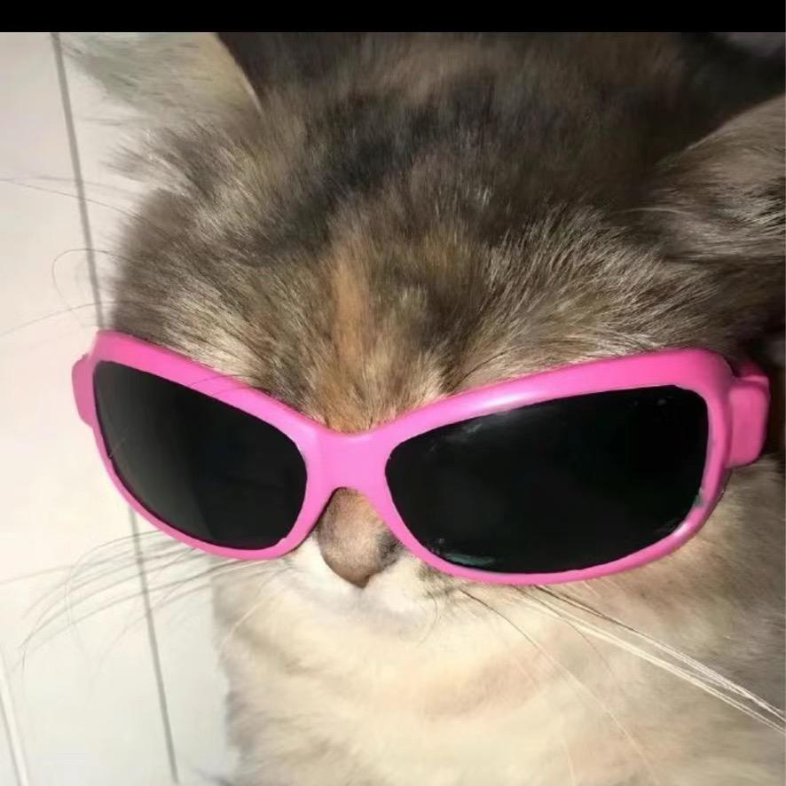 多次婉拒易烊千玺_🐑