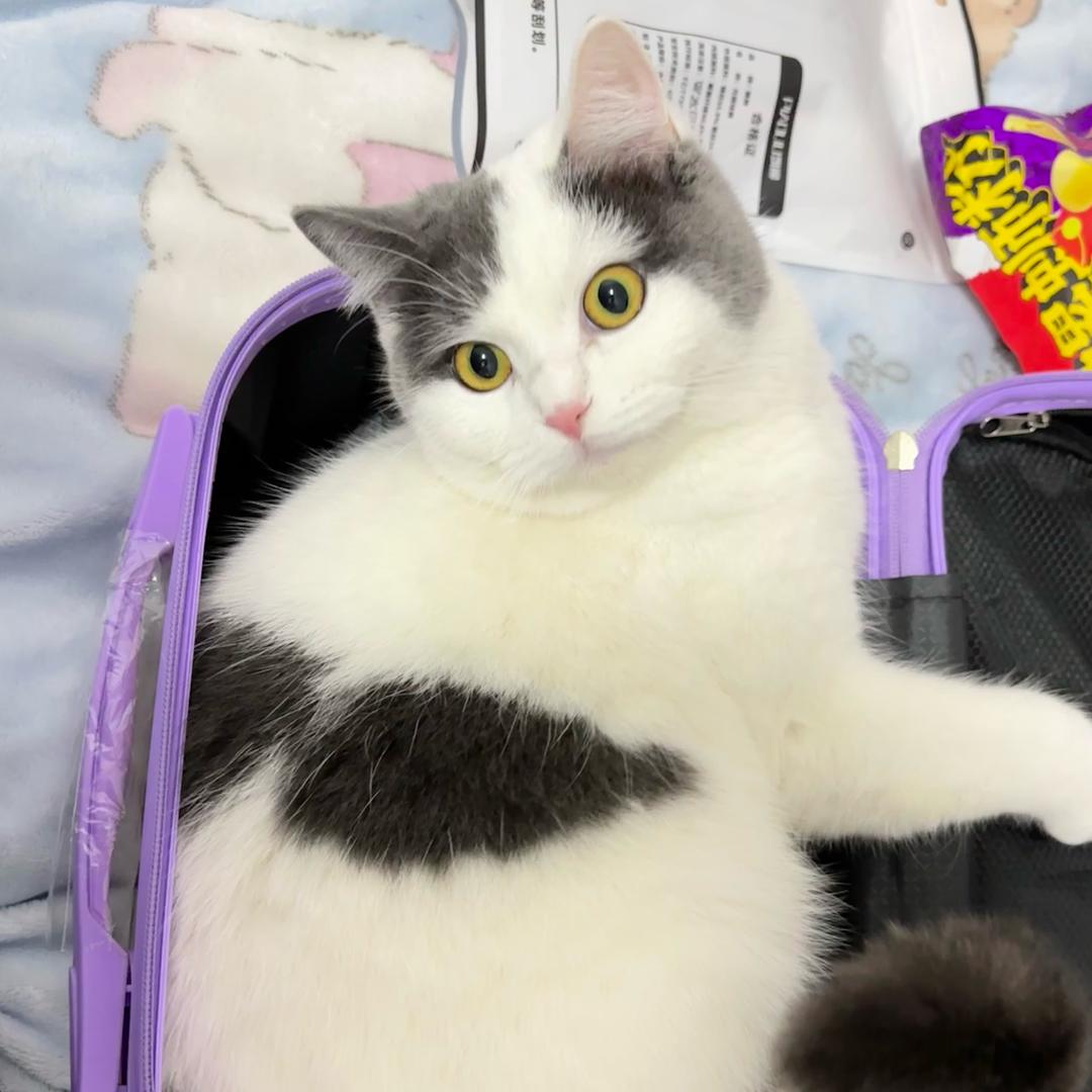 丫丫的好物推荐