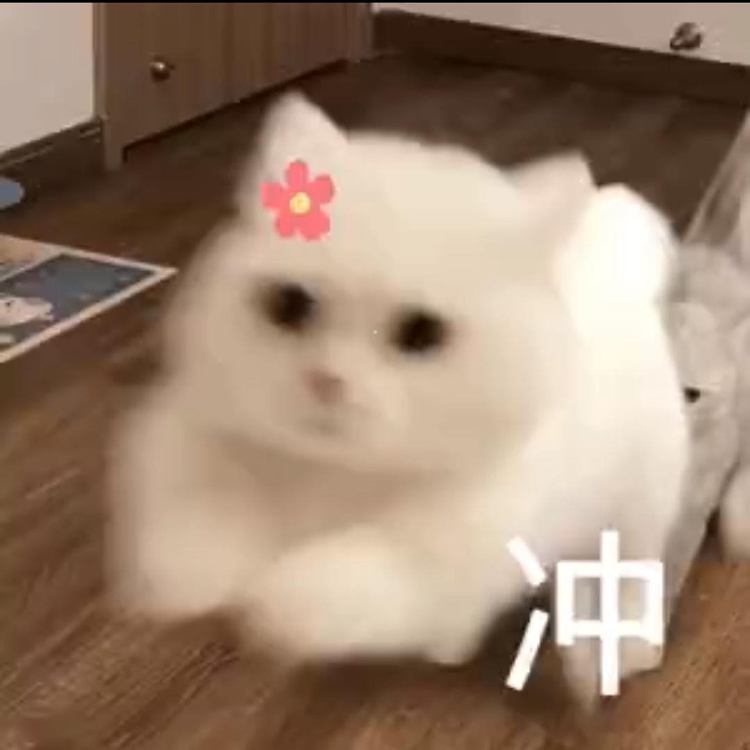 小星序曲