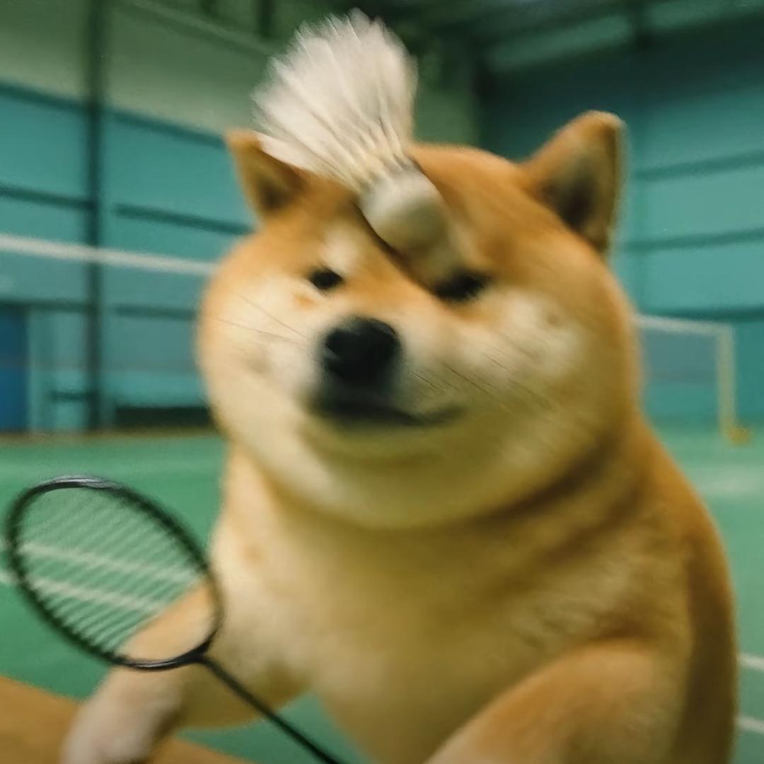 张脑丸.