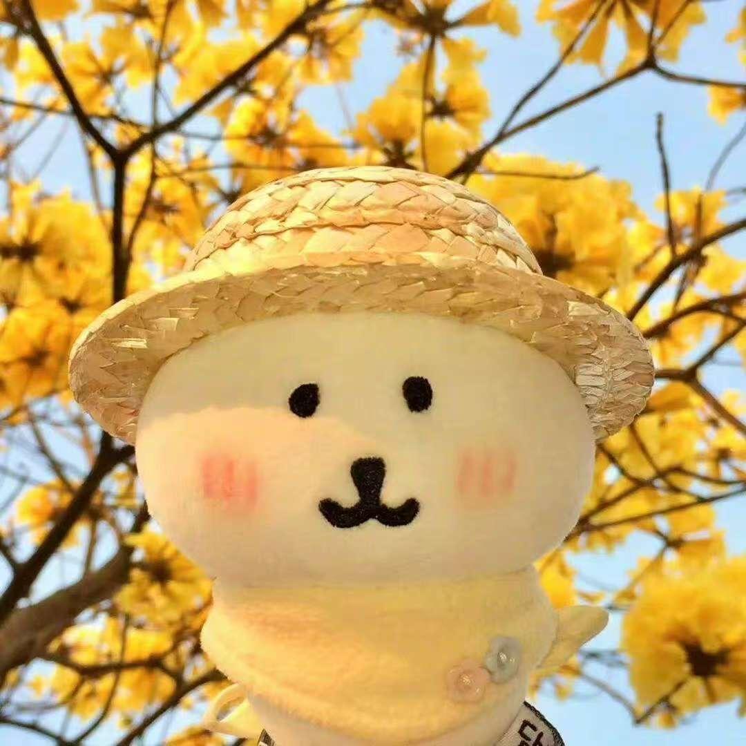 好鱼hei