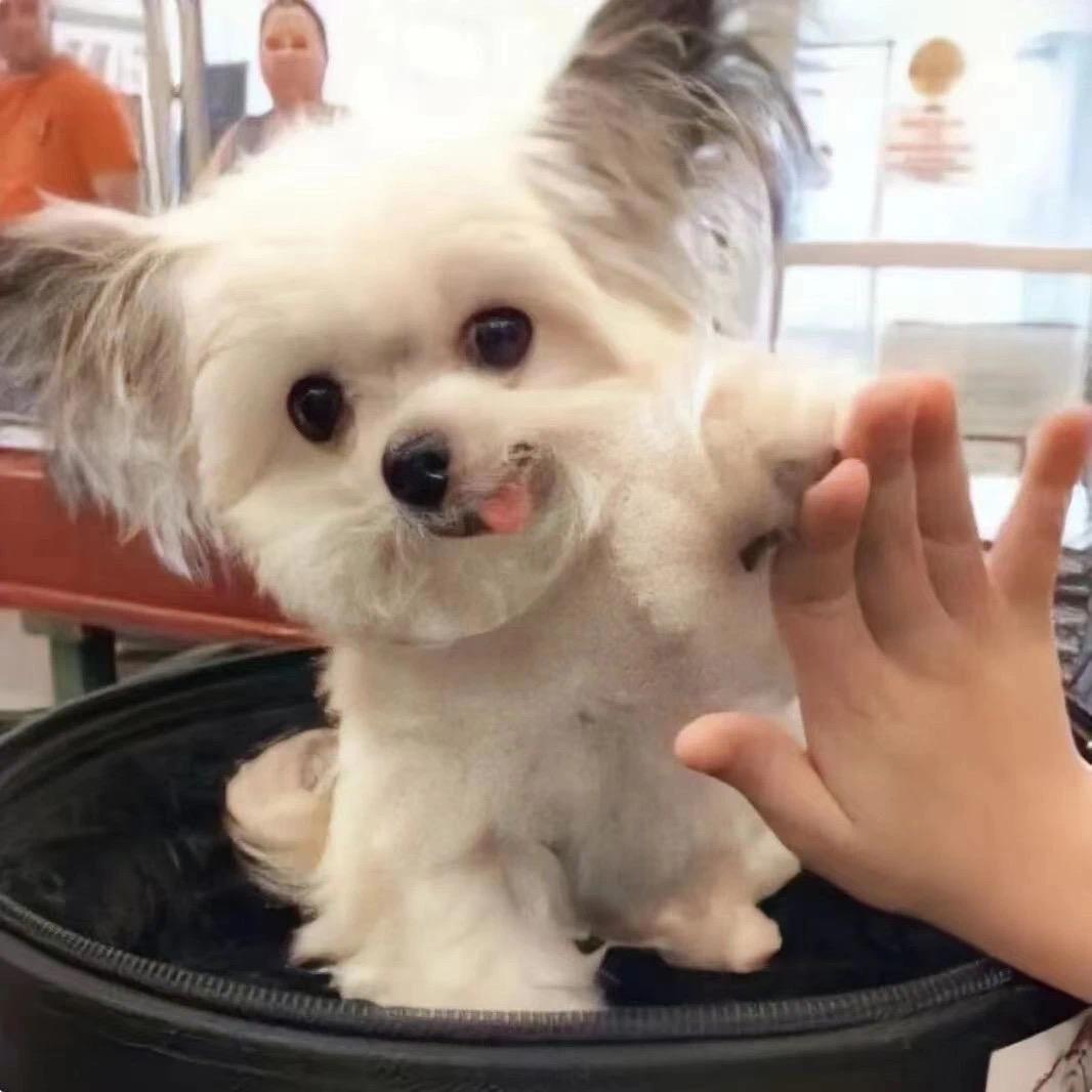 An.
