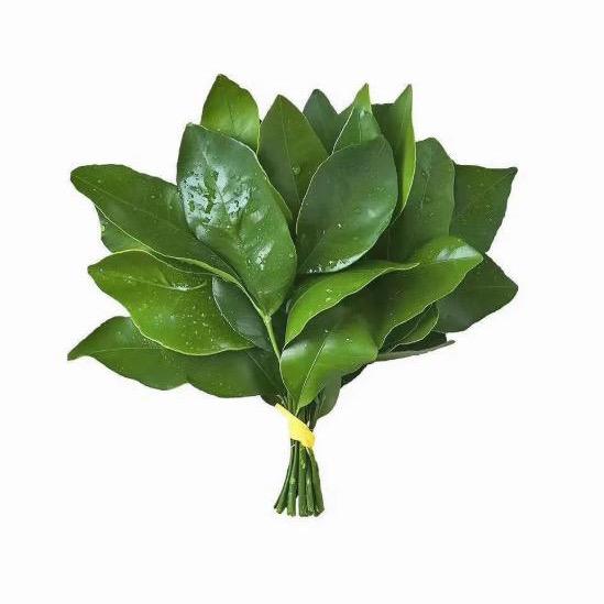 琳琳妈精选童装