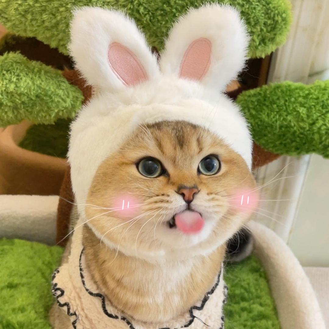 金三锦