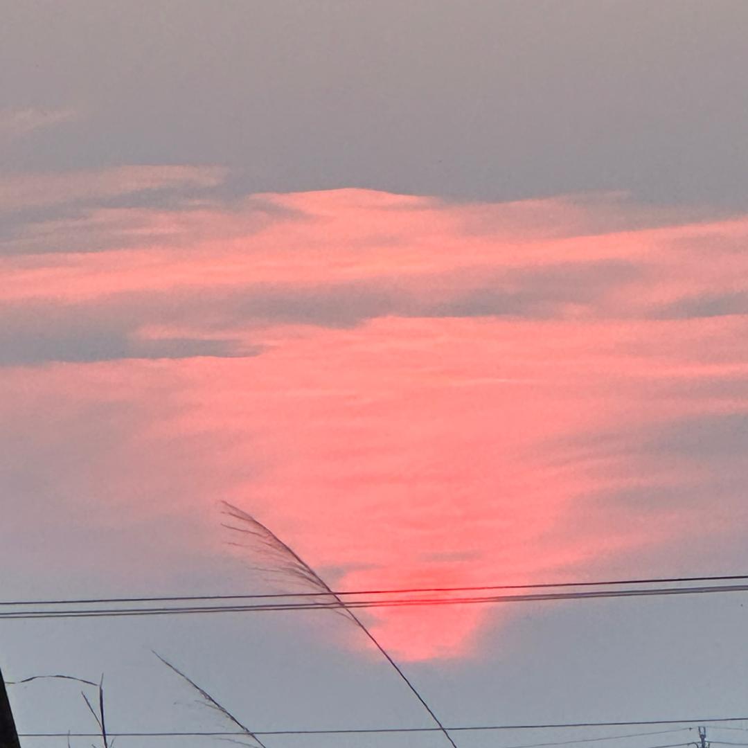 老王潮玩小铺2发发