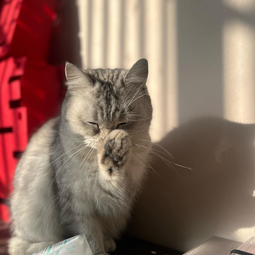🌛