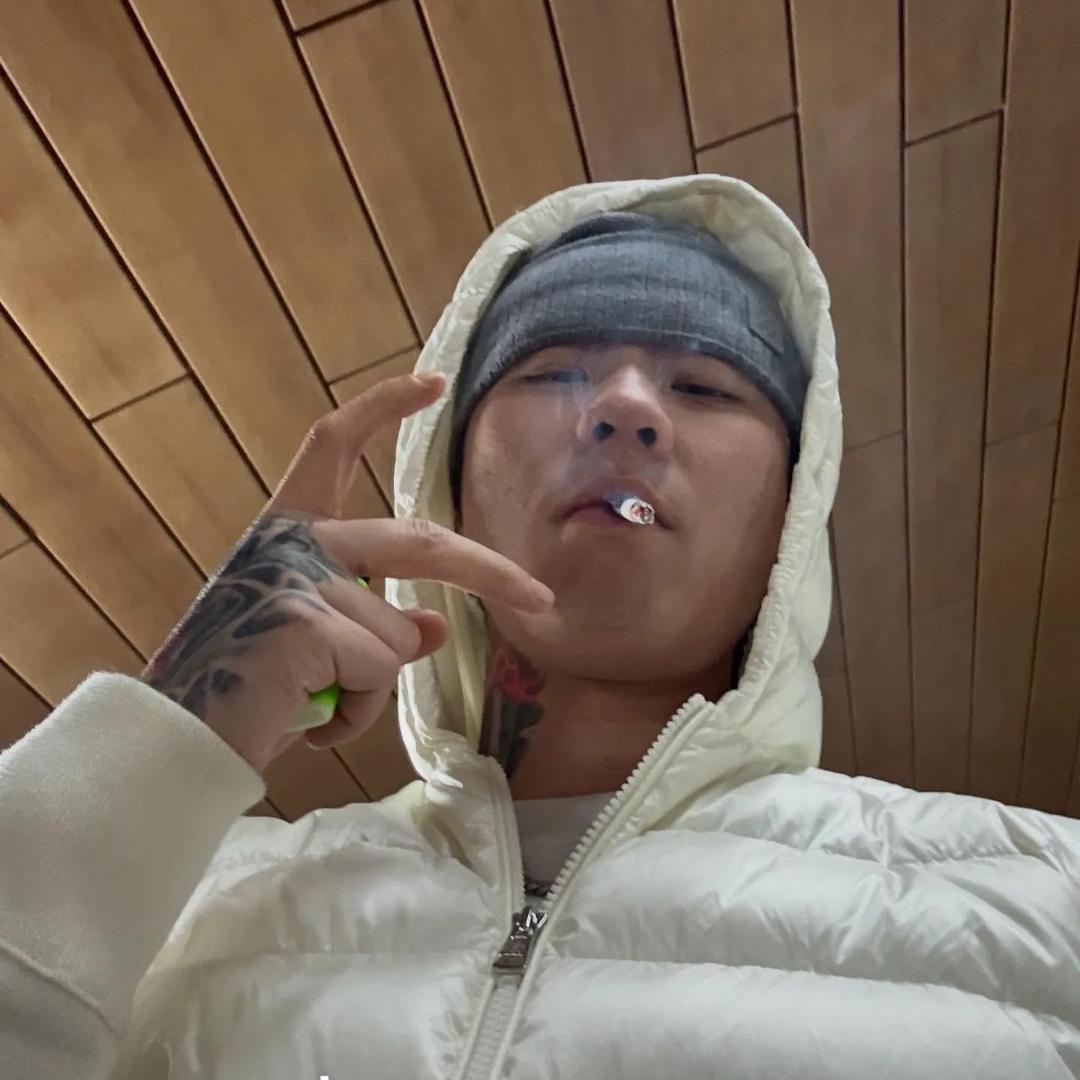 三点的海鸥