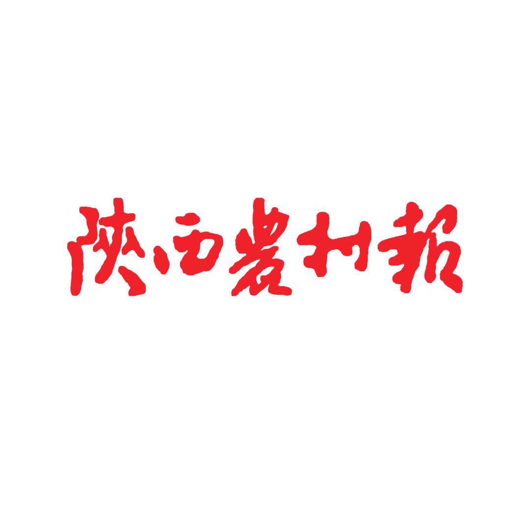 陕西农村报