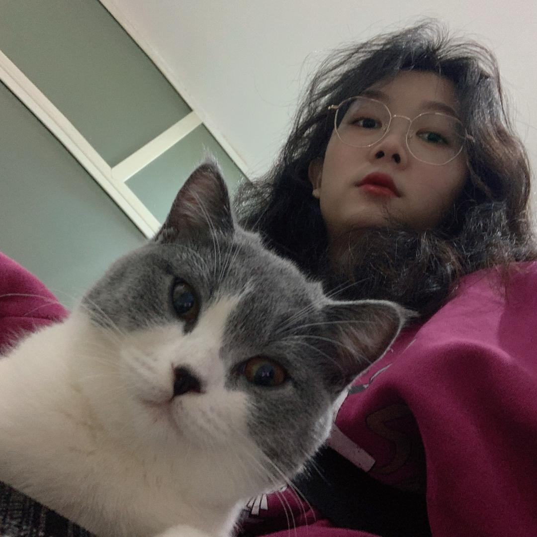 ʚ辛会