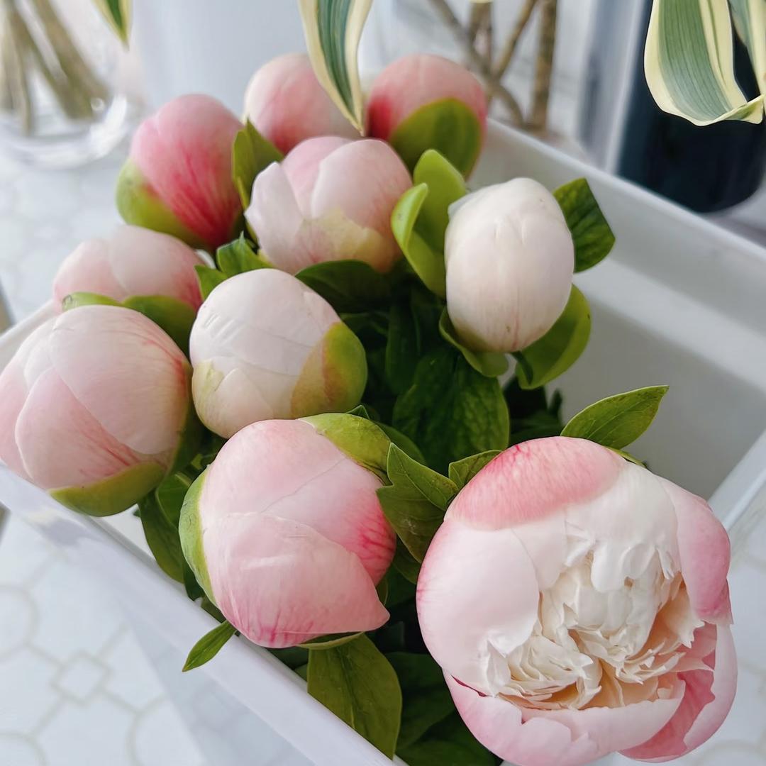 星璨花源