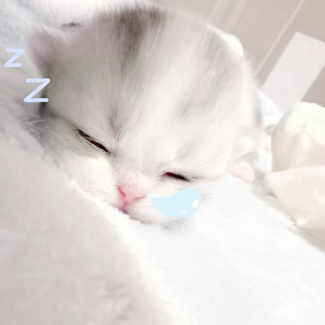 小小静