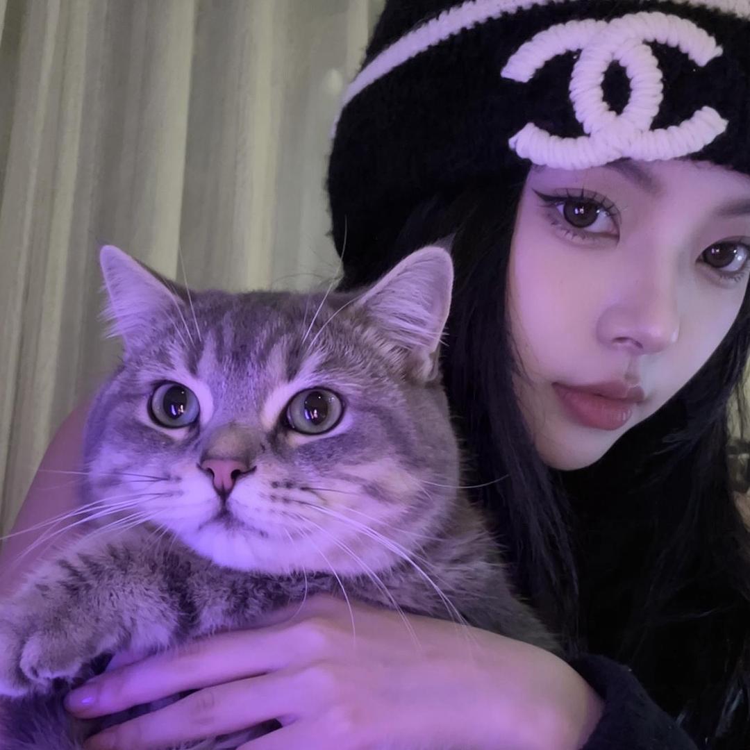 小猫睡了