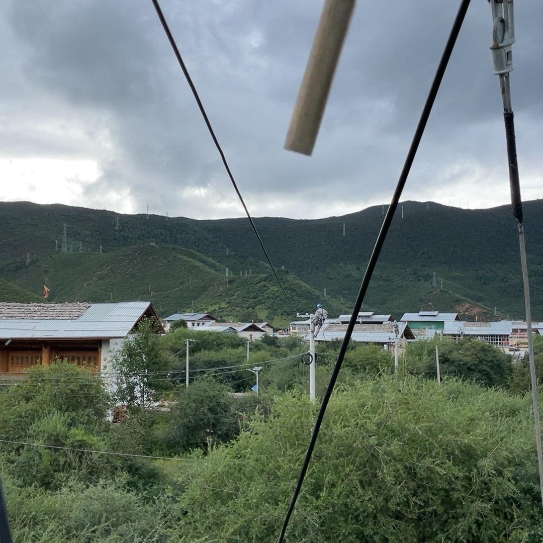 电杆⚡️上的雀雀