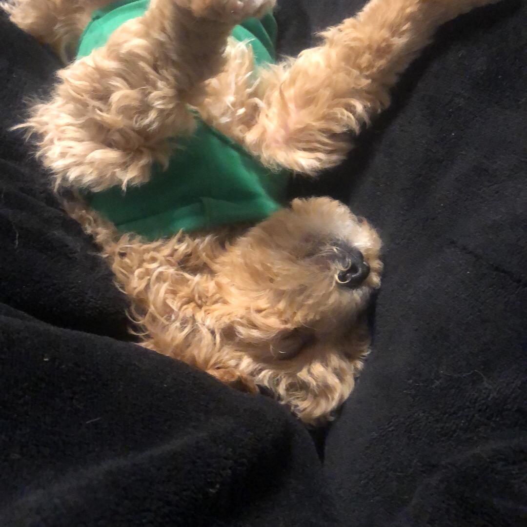 重生之我是小保安