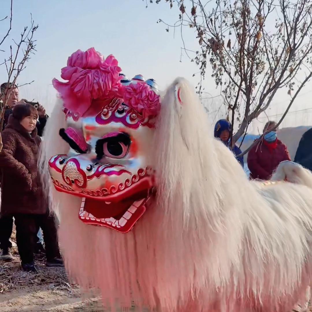 濮阳龙威小白狮舞狮团