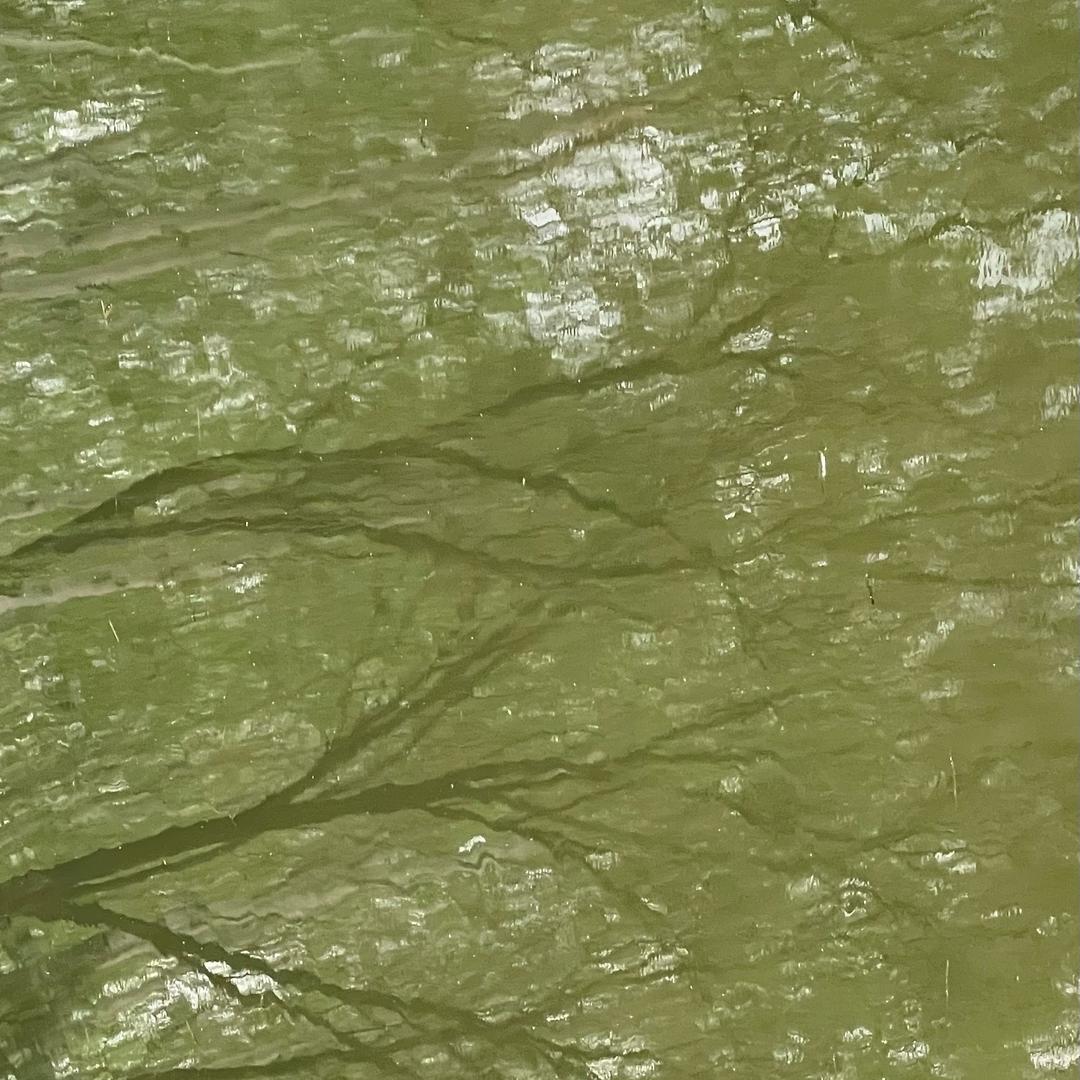阿浪