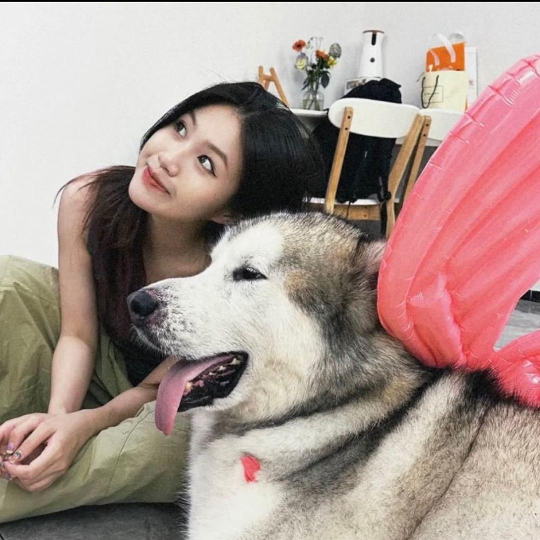 傲娇小鲨鱼🦈