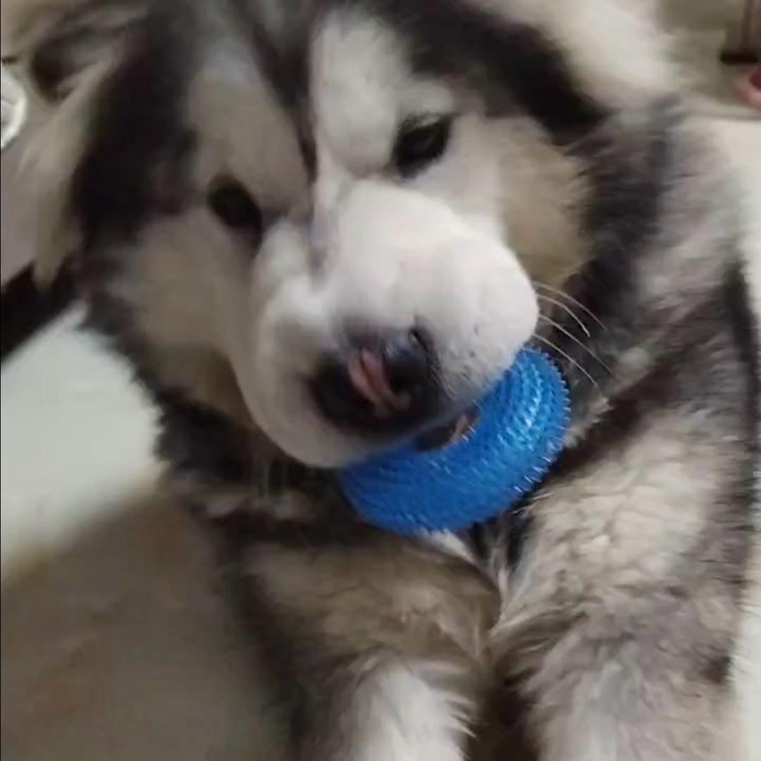 瑶一瑶